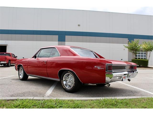 1967 Chevrolet Chevelle Malibu (CC-2079769) for sale in Sarasota, Florida