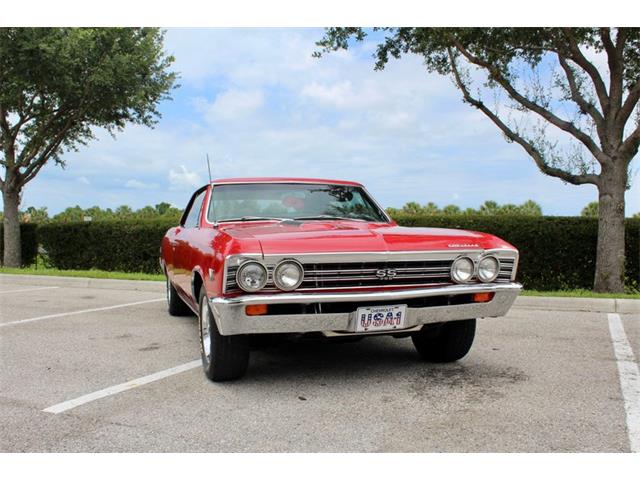 1967 Chevrolet Chevelle Malibu (CC-2079769) for sale in Sarasota, Florida
