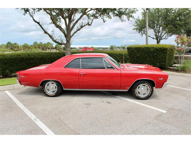 1967 Chevrolet Chevelle Malibu (CC-2079769) for sale in Sarasota, Florida