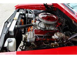 1967 Chevrolet Chevelle Malibu (CC-2079769) for sale in Sarasota, Florida