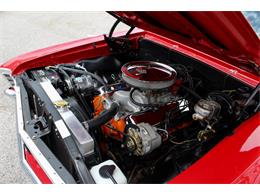 1967 Chevrolet Chevelle Malibu (CC-2079769) for sale in Sarasota, Florida
