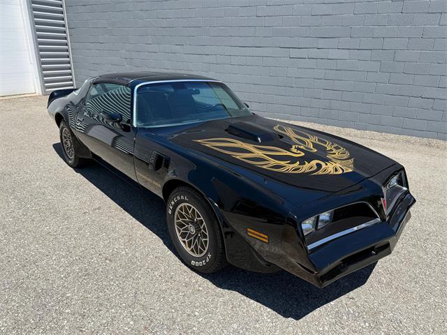 1978 Pontiac Firebird Trans Am (CC-2079771) for sale in Pittsburgh, Pennsylvania