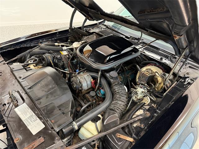 1978 Pontiac Firebird Trans Am (CC-2079771) for sale in Pittsburgh, Pennsylvania