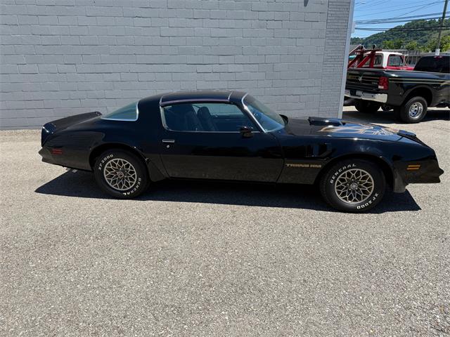 1978 Pontiac Firebird Trans Am (CC-2079771) for sale in Pittsburgh, Pennsylvania