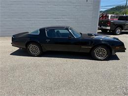1978 Pontiac Firebird Trans Am (CC-2079771) for sale in Pittsburgh, Pennsylvania