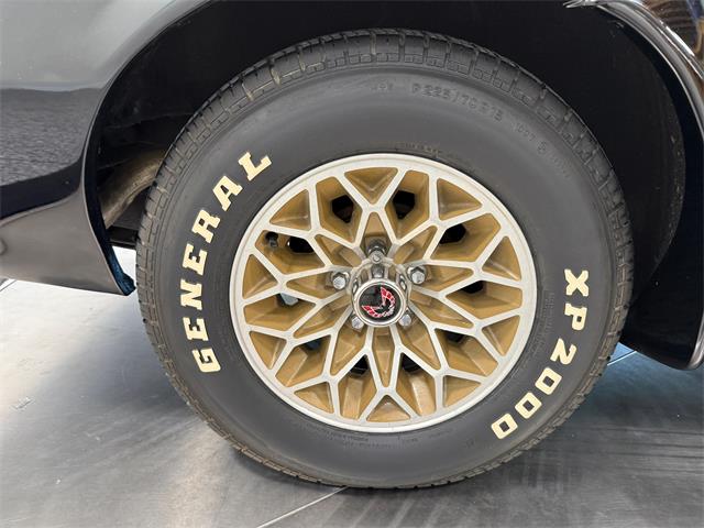 1978 Pontiac Firebird Trans Am (CC-2079771) for sale in Pittsburgh, Pennsylvania
