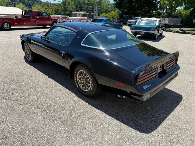 1978 Pontiac Firebird Trans Am (CC-2079771) for sale in Pittsburgh, Pennsylvania