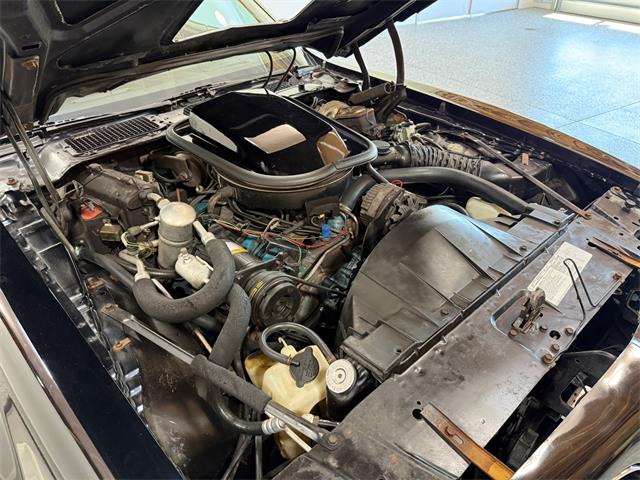 1978 Pontiac Firebird Trans Am (CC-2079771) for sale in Pittsburgh, Pennsylvania