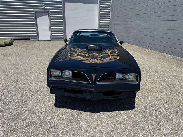 1978 Pontiac Firebird Trans Am (CC-2079771) for sale in Pittsburgh, Pennsylvania