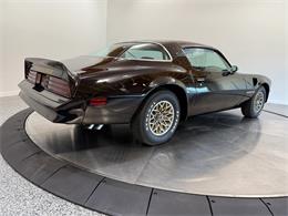 1978 Pontiac Firebird Trans Am (CC-2079771) for sale in Pittsburgh, Pennsylvania