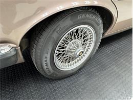 1986 Jaguar XJ6 (CC-2079778) for sale in Morgantown, Pennsylvania