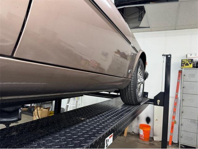 1986 Jaguar XJ6 (CC-2079778) for sale in Morgantown, Pennsylvania