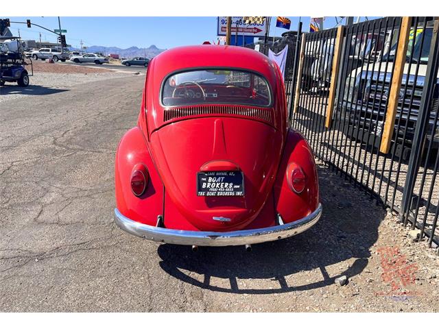 1964 Volkswagen Beetle (CC-2079827) for sale in Lake Havasu, Arizona
