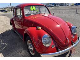 1964 Volkswagen Beetle (CC-2079827) for sale in Lake Havasu, Arizona