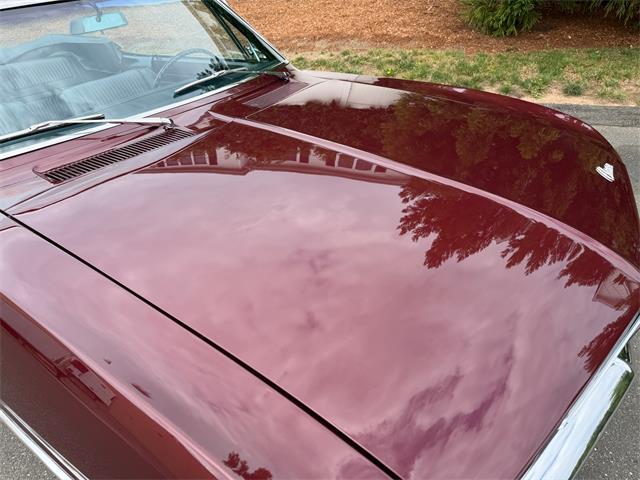 1965 Chevrolet Corvair (CC-2079833) for sale in Milford City, Connecticut