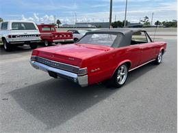 1965 Pontiac GTO (CC-2079835) for sale in Largo, Florida