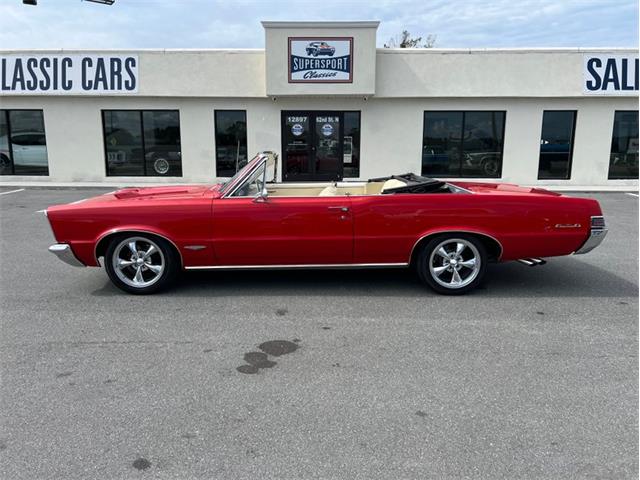 1965 Pontiac GTO (CC-2079835) for sale in Largo, Florida