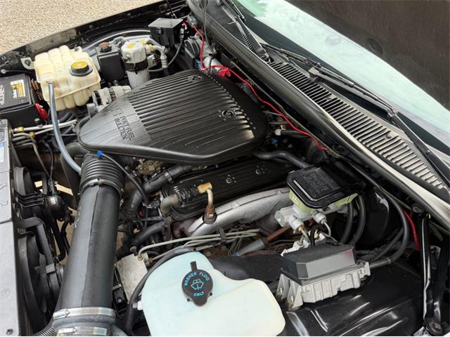 1996 Chevrolet Impala (CC-2079841) for sale in Newfield, New Jersey