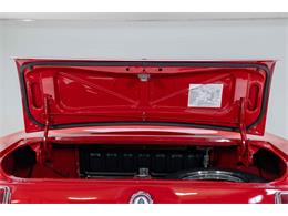 1966 Shelby GT350 (CC-2079853) for sale in Halton Hills, Ontario