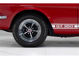1966 Shelby GT350 (CC-2079853) for sale in Halton Hills, Ontario