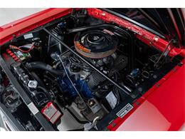1966 Shelby GT350 (CC-2079853) for sale in Halton Hills, Ontario