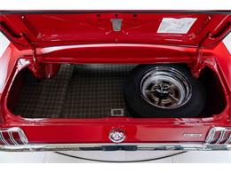 1966 Shelby GT350 (CC-2079853) for sale in Halton Hills, Ontario