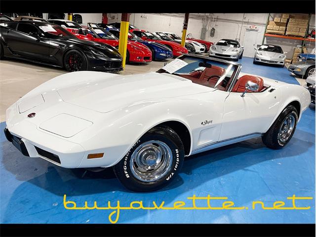 1975 Chevrolet Corvette (CC-2079862) for sale in Atlanta, Georgia