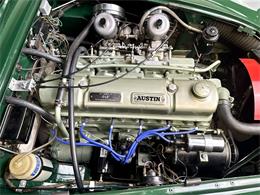 1965 Austin-Healey 3000 Mark III BJ8 (CC-2079942) for sale in Santa Ana, California