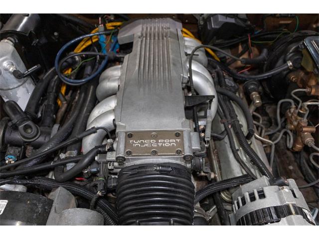 1984 Pontiac Firebird Trans Am (CC-2079977) for sale in Kentwood, Michigan
