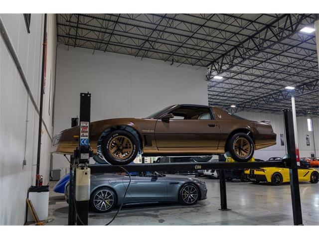 1984 Pontiac Firebird Trans Am (CC-2079977) for sale in Kentwood, Michigan