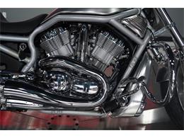 2002 Harley-Davidson V-Rod (CC-2081000) for sale in Biloxi, Mississippi