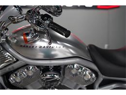 2002 Harley-Davidson V-Rod (CC-2081000) for sale in Biloxi, Mississippi