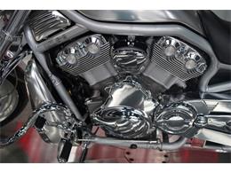 2002 Harley-Davidson V-Rod (CC-2081000) for sale in Biloxi, Mississippi