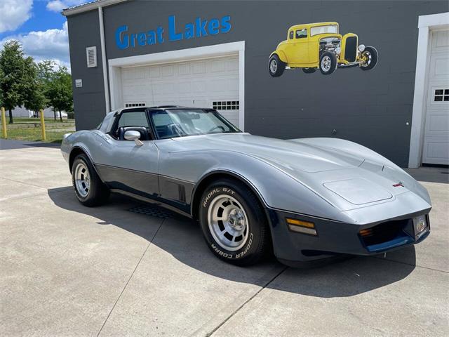 1981 Chevrolet Corvette (CC-2081003) for sale in Hilton, New York