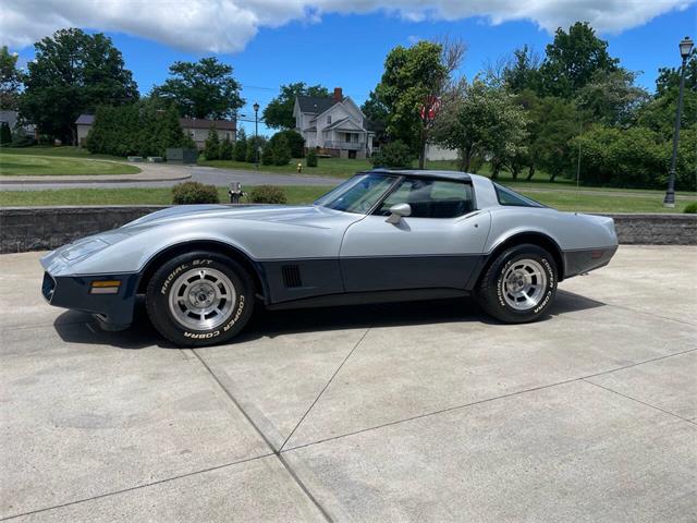 1981 Chevrolet Corvette (CC-2081003) for sale in Hilton, New York
