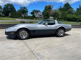 1981 Chevrolet Corvette (CC-2081003) for sale in Hilton, New York