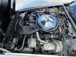1981 Chevrolet Corvette (CC-2081003) for sale in Hilton, New York
