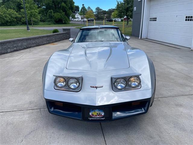 1981 Chevrolet Corvette (CC-2081003) for sale in Hilton, New York