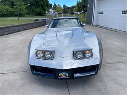 1981 Chevrolet Corvette (CC-2081003) for sale in Hilton, New York