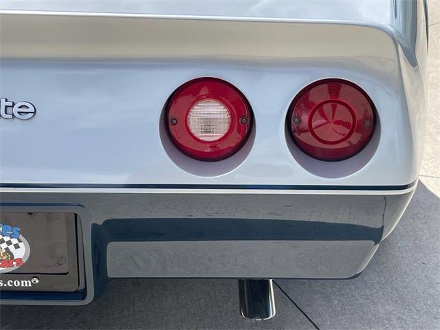 1981 Chevrolet Corvette (CC-2081003) for sale in Hilton, New York