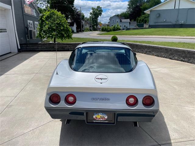 1981 Chevrolet Corvette (CC-2081003) for sale in Hilton, New York