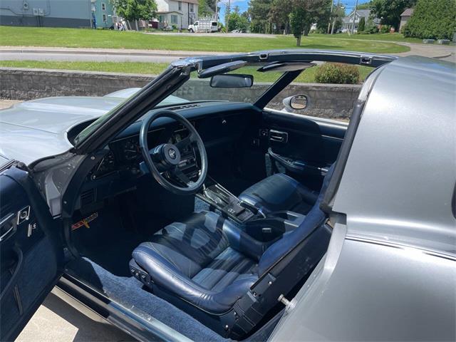 1981 Chevrolet Corvette (CC-2081003) for sale in Hilton, New York