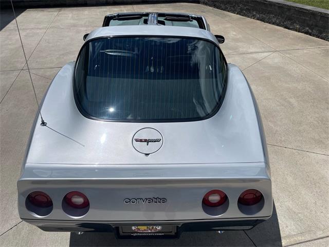 1981 Chevrolet Corvette (CC-2081003) for sale in Hilton, New York