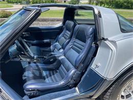 1981 Chevrolet Corvette (CC-2081003) for sale in Hilton, New York