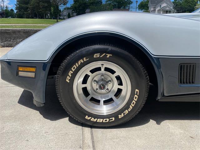 1981 Chevrolet Corvette (CC-2081003) for sale in Hilton, New York