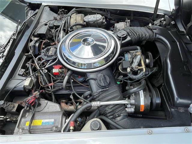 1981 Chevrolet Corvette (CC-2081003) for sale in Hilton, New York