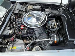 1981 Chevrolet Corvette (CC-2081003) for sale in Hilton, New York