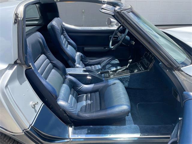 1981 Chevrolet Corvette (CC-2081003) for sale in Hilton, New York