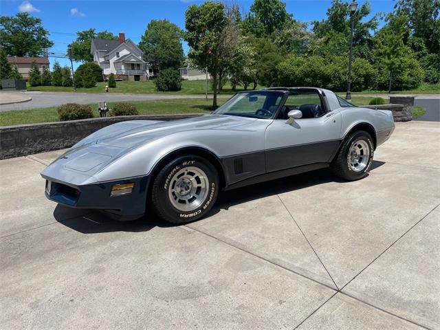 1981 Chevrolet Corvette (CC-2081003) for sale in Hilton, New York