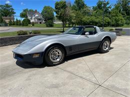 1981 Chevrolet Corvette (CC-2081003) for sale in Hilton, New York